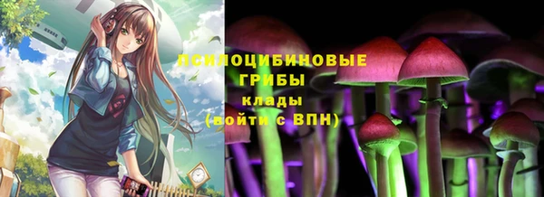 тгк Елабуга