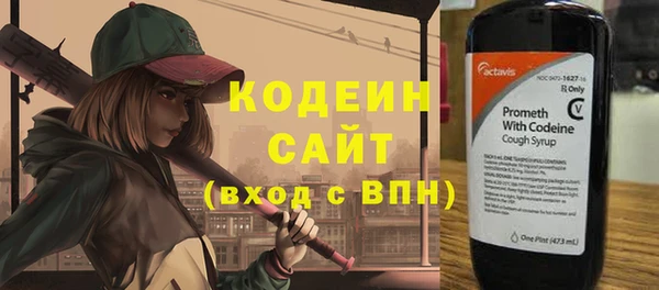 дмт Дмитровск