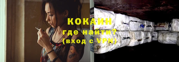 молекула духа Елизово