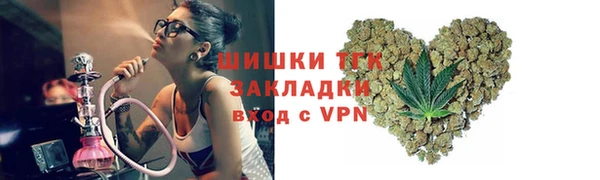 молекула духа Елизово