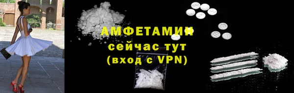 молекула духа Елизово