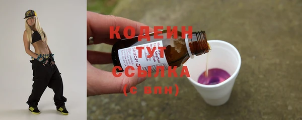 прущие крисы Ельня