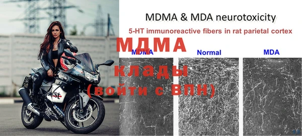 дмт Дмитровск