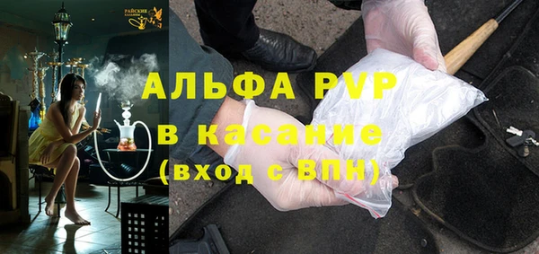 молекула духа Елизово