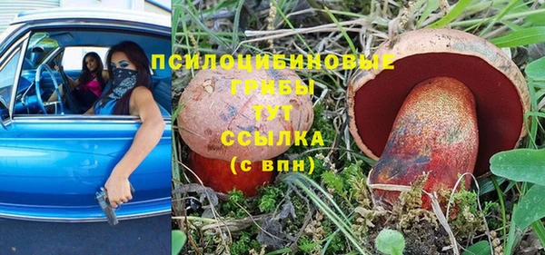 молекула духа Елизово
